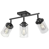 KEESFU 3 Light Track Lighting Fixtures Ceiling,Black Bathroom Vanity Light with Rotatable Clear Glass Shade,Ceiling/Wall Mount,Modern Kitchen Ceiling Light for Dining Room, Kitchen Island, Bathroom.