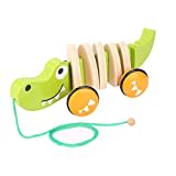 Wooden Pull Along Toy Wooden Rope Toy Walk-A-Long Pull Toy Wooden Push and Pull Toddler Toy