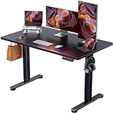 ErGear Height Adjustable Electric Standing Desk, 48 x 24 Inches Sit Stand up Desk, Memory Computer Home Office Desk with Splice Board (Black)