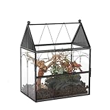 NCYP Glass Enclosure with Vent Holes for Insect, Spiders, Snails - 19 x 12.5 x 23 cm Small Closed Front Opening Door Succulent Terarium - House Shape Habitat, Home Decor Black (No Plants)