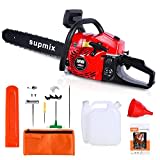 Gas Chainsaw,60 CC Gas Chainsaw Handheld Cordless Petrol Chainsaws,2 Cycle Gasoline Engine Professional Powered Chainsaws with 20-Inch Guide Bar Tree Cutting Tool for Farm Garden and Yard