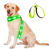 PZRLit Light Up Dog Vest Harness Rechargeable, Reflective LED Lighted Dog Harness, Glow Dark Dog Light Harness for Camping Night Safety Walking-Green, Large