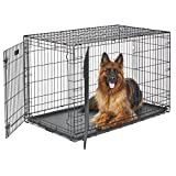 MidWest Homes for Pets XL Dog Crate | Midwest Life Stages Double Door Folding Metal Dog Crate | Divider Panel, Floor Protecting Feet, Leak-Proof Dog Tray | 48L x 30W x 33H Inches, XL Dog Breed