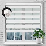 SEEYE Custom Size Cordless Zebra Blinds, Blackout Horizontal Shades Dual Layer Sheer Blind Roller Shades Privacy Light Control Day and Night Window Drapes Customize, 20 to 71'' Wide