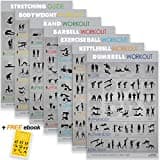 7 Exercise Posters for Home Gym - Each Large Gym Poster is 42x71 CM with a Dry-Erase Laminate. Fitness Poster Bundle Includes 6 Workout Posters and 1 Stretching Guide Poster. Exercise E-Book Included.